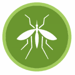 disinfestazione ecologica zanzare