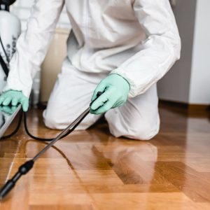 disinfestazione torino